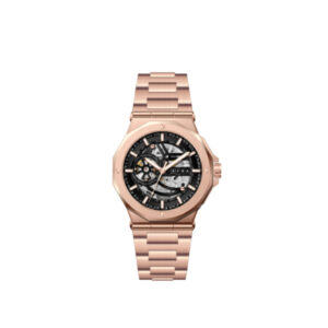 AFRA Men's Stainless Steel Wrist Watch | 2189 Quartz Movement | 10 ATM Water Resistance | Brass Dial | AF-43015RG