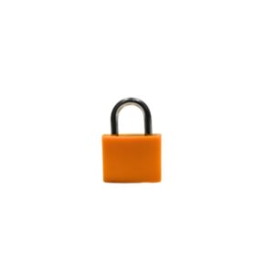 Mini Small Padlock | Lock for School Lockers, Gym & Luggage Security