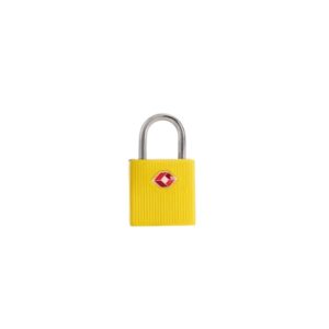 Mini Small Padlock | Lock for School Lockers, Gym & Luggage Security