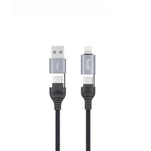 Budi 4-in-1 65W/20W PD Charge & Sync Cable